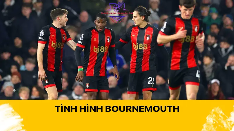 Tình hình Bournemouth