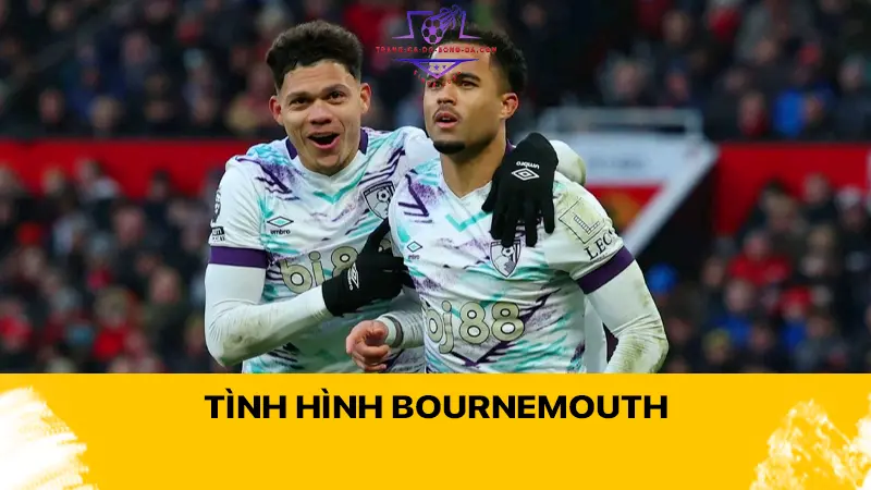 Tình hình Bournemouth