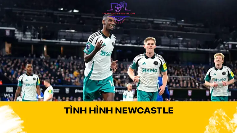 Tình hình Newcastle