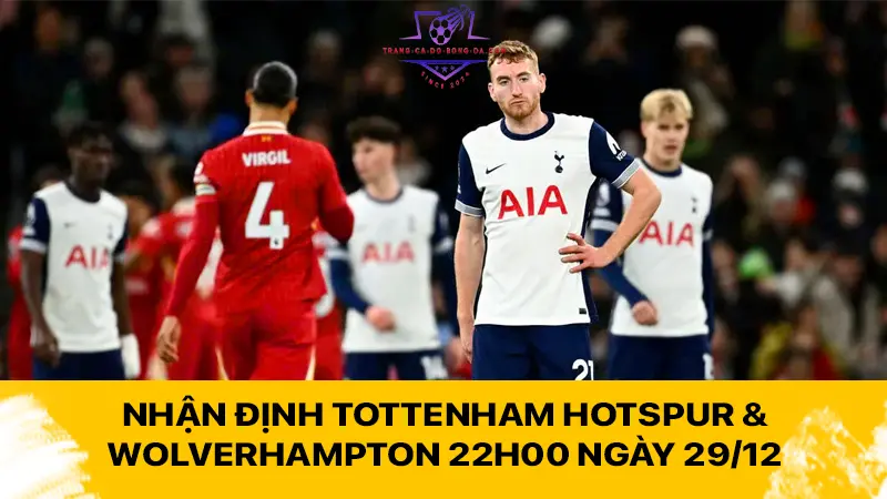 Nhận định Tottenham Hotspur & Wolverhampton 22h00 ngày 29/12